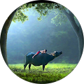 Reviewer Image